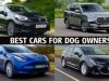 Top 10 best cars for dog owners to buy 2023