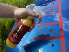 Car bug cleaners – pictures