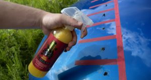 Car bug cleaners – pictures