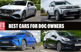Best cars for dog owners to buy 2025