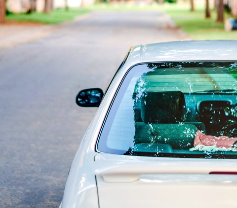 Top Safety Tips for Post Auto Glass Replacement Care