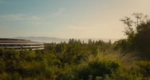 Apple updates Siri and More at WWDC